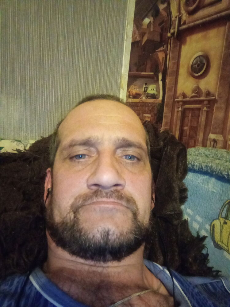  42261363  , 43 ,    