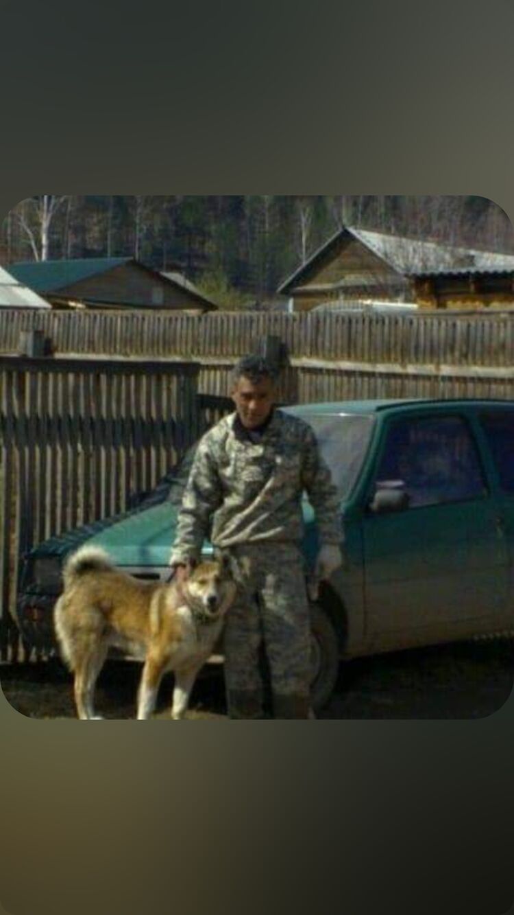 ���� 50304963 ������� �����, 56 ���, ���� ���������� � ��������