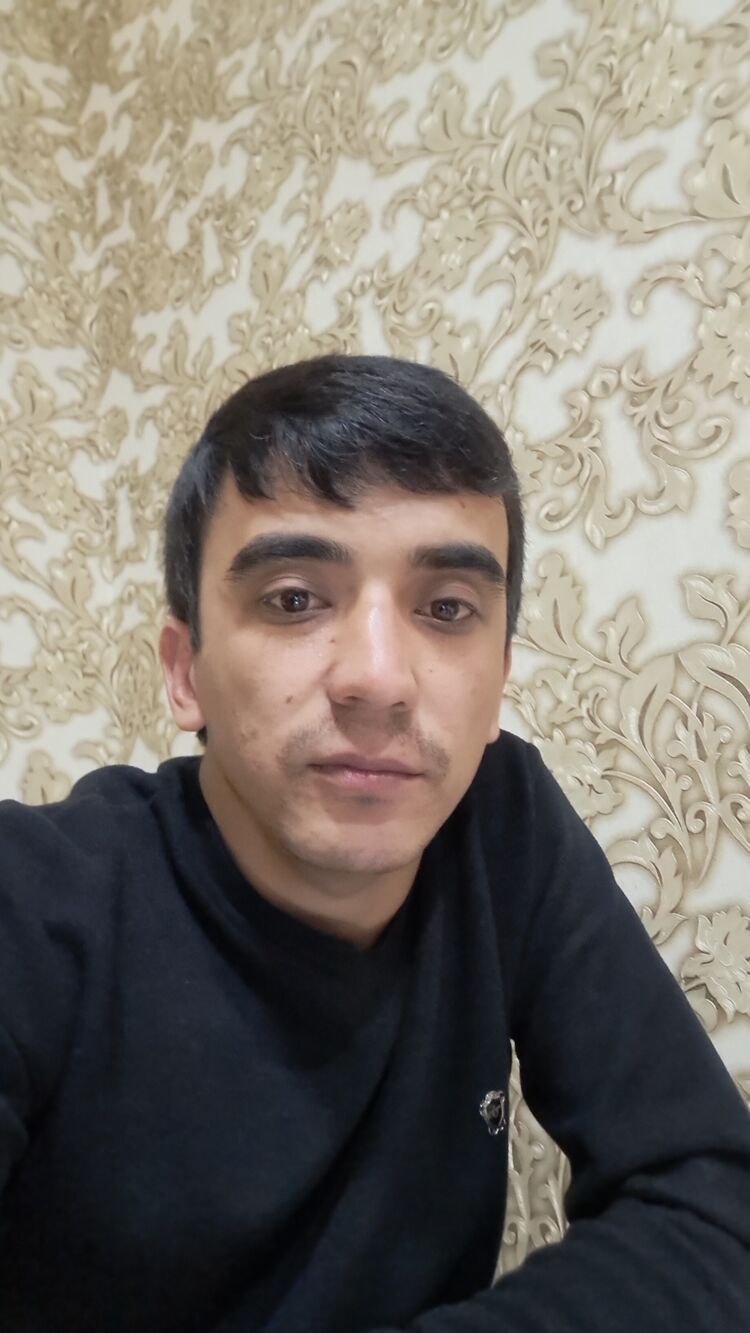 ���� 33173503 ������� ������, 30 ���, ���� ���������� � ����������