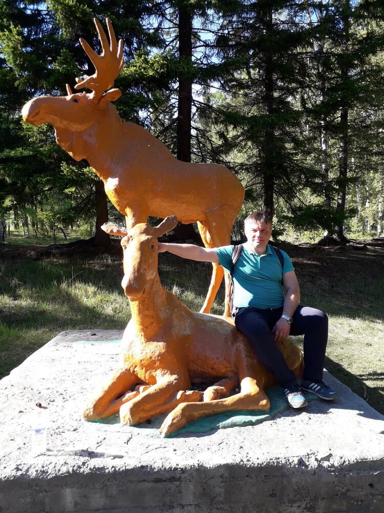 ���� 23666523 ������� ������, 50 ���, ���� ���������� � ��������