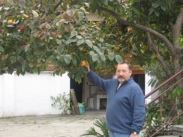 ���������� ������, ���� ������� ������, 67 ���, ������������ ��� ������, ����� � ���������, ���������