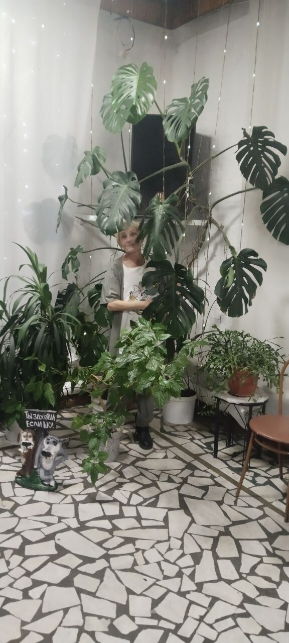 ���������� �������, ���� ������� ������, 59 ���, ������������ ��� ������, ����� � ���������