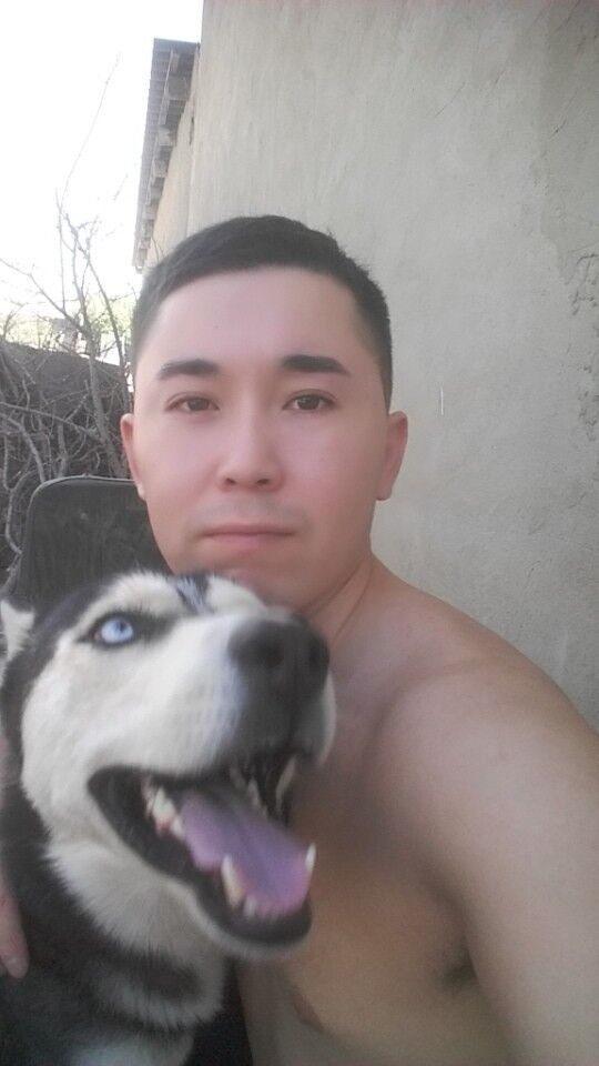 ���� 17794293 ������� ��������, 33 ����, ���� ���������� � ��������