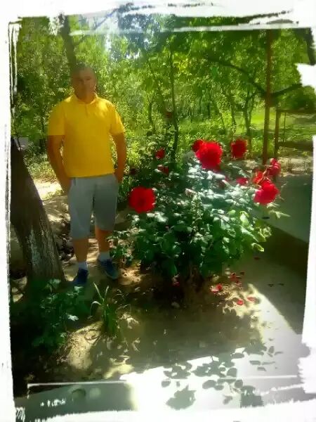 ���� 23523413 ������� ������, 40 ���, ���� ���������� � �������