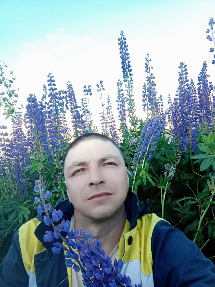 ���������� ������, ���� ������� ��������, 38 ���, ������������ ��� ����� � ���������, c�������� ���������