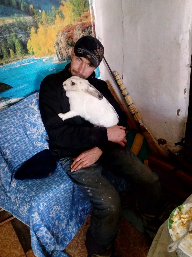 ���� 24725003 ������� ������, 38 ���, ���� ���������� � �������