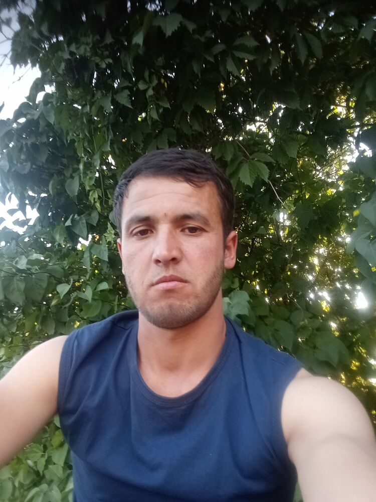  27023693  , 28 ,    --