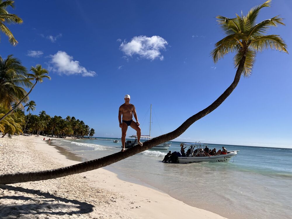 ���������� �����������, ���� ������� ����, 38 ���, ������������ ��� ������, ����� � ���������, c�������� ���������, ���������