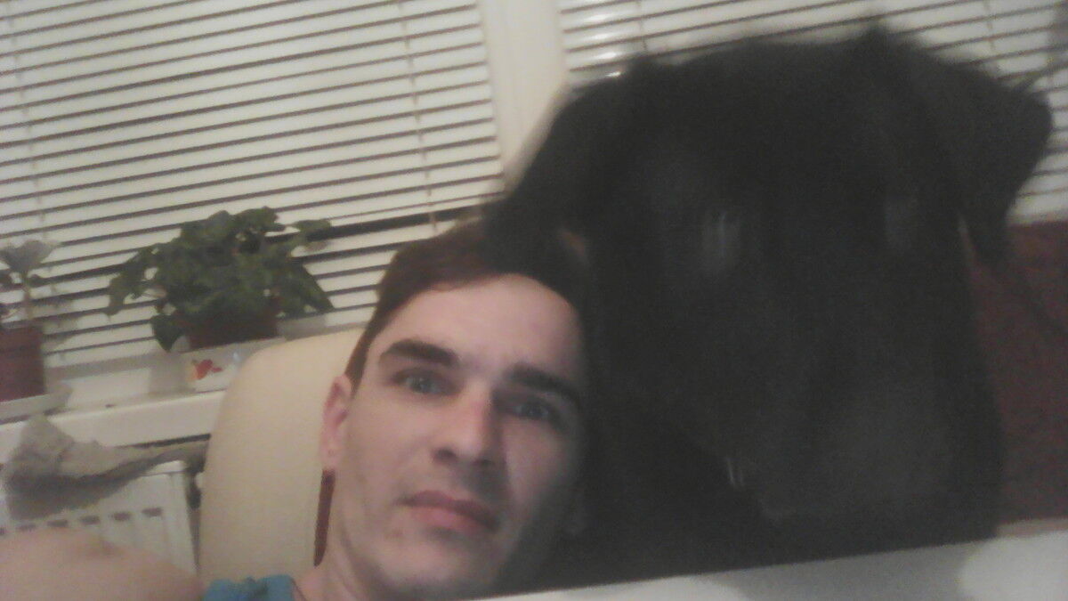  ,   BORIS, 36 ,   ,   , c 