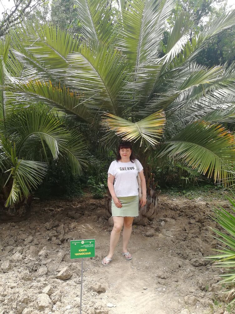  ,   , 53 ,   ,   
