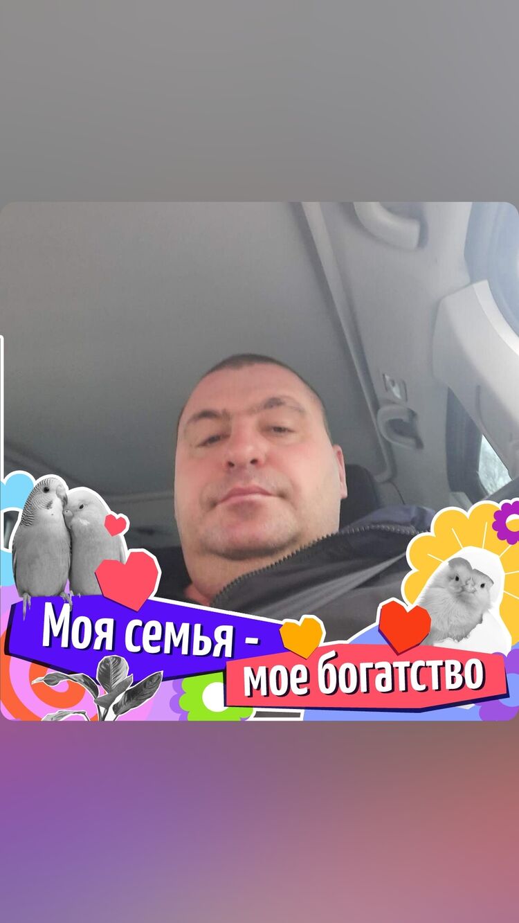 ���� 50005033 ������� ���������, 41 ���, ���� ���������� � ������