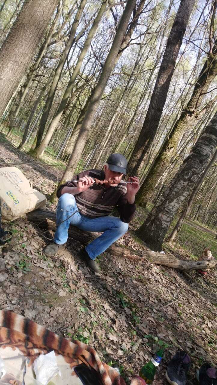  26445903  , 51 ,    