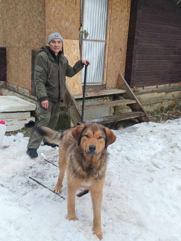 ���� 49625143 ������� ��shaX, 37 ���, ���� ���������� � ������