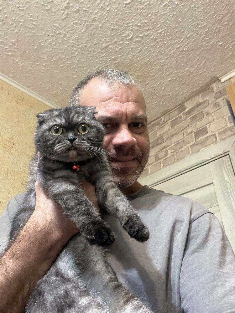 ���������� ������, ���� ������� �����, 50 ���, ������������ ��� ������, ����� � ���������