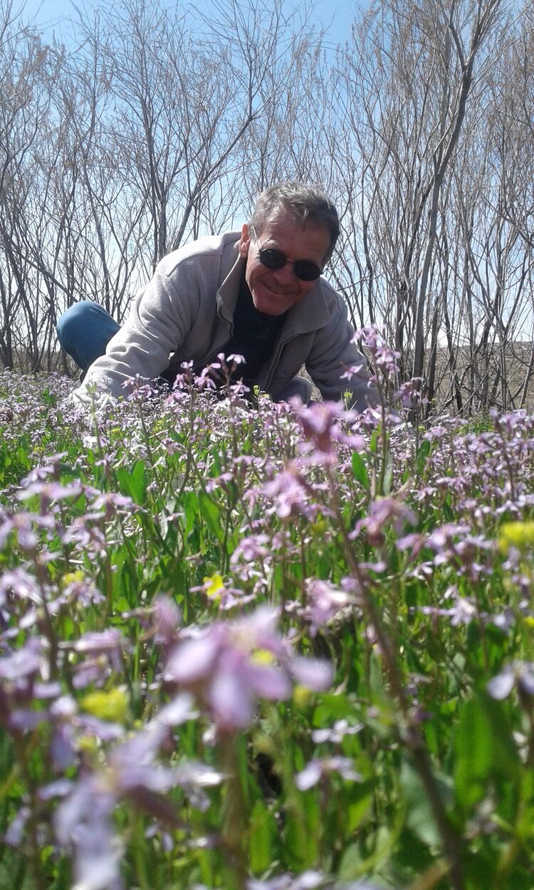 ���� 27134813 ������� ��������, 43 ����, ���� ���������� � ��������