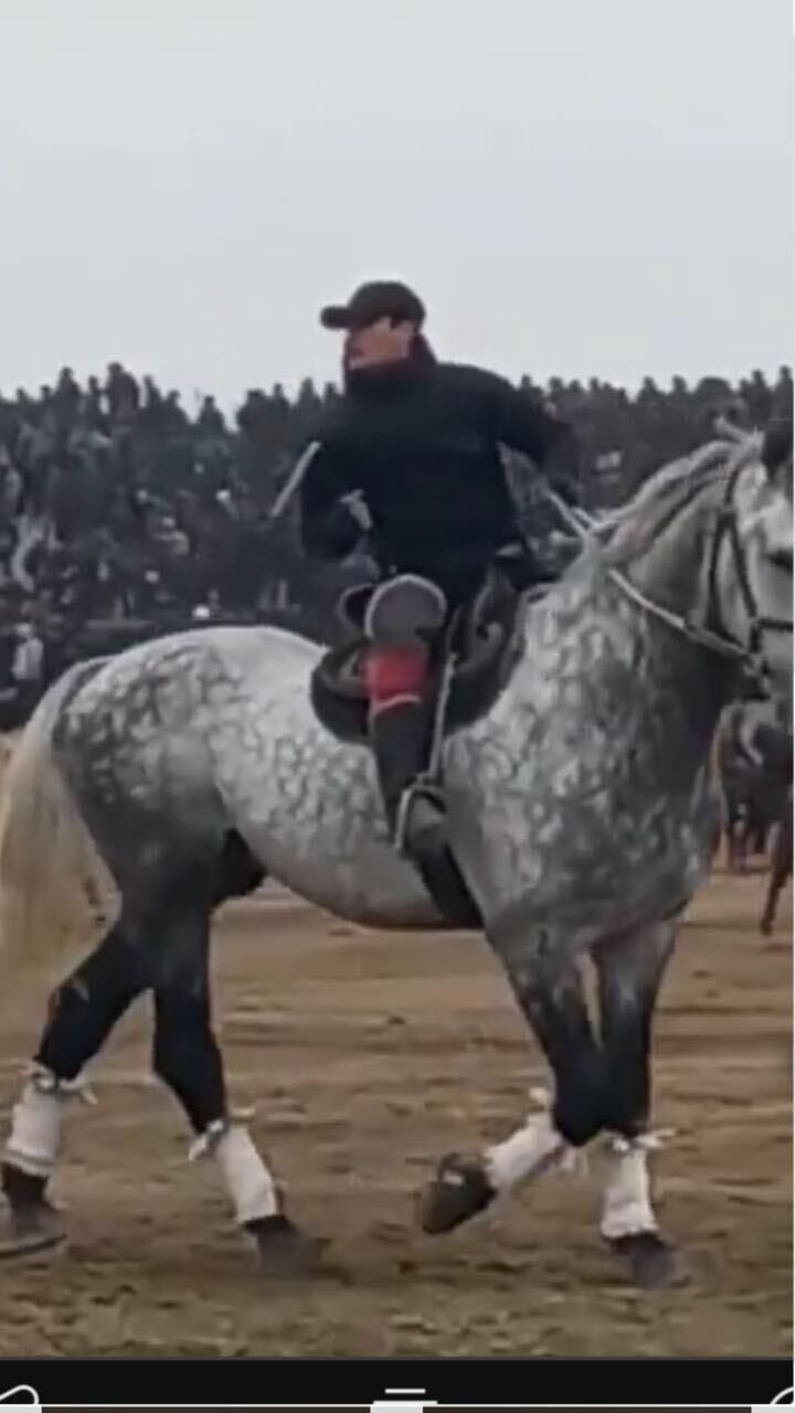  54115013  , 47 ,    -