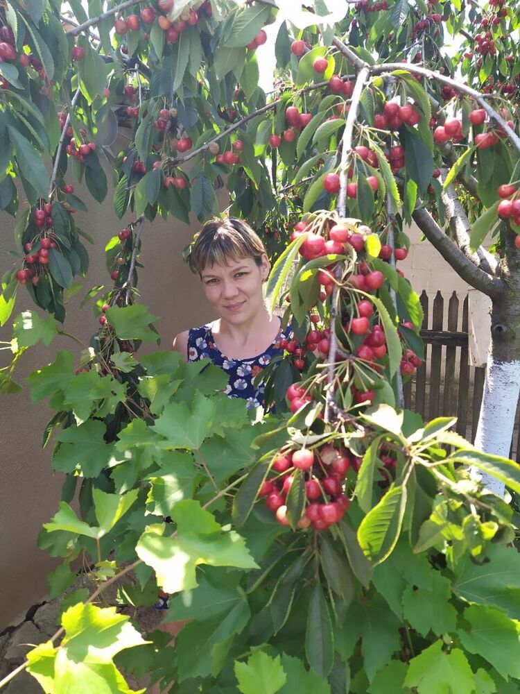 ���������� �����������, ���� ������� ������, 44 ����, ������������ ��� c�������� ���������