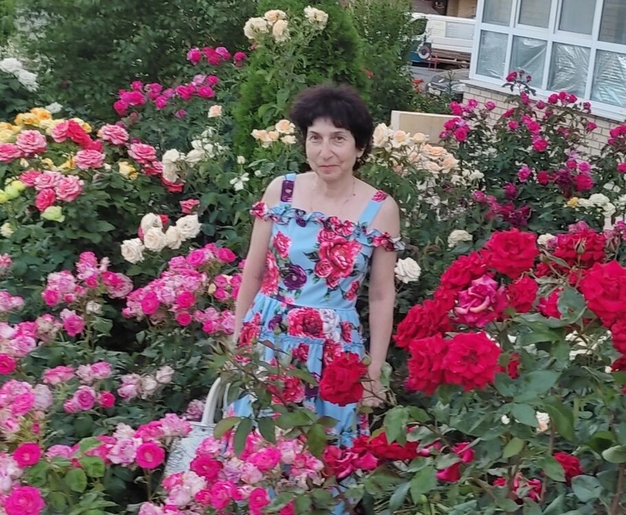  --,   , 65 ,   