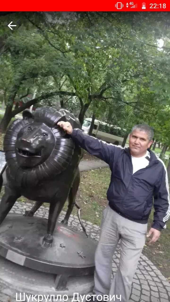 ���� 25873893 ������� �����, 53 ����, ���� ���������� � ����������