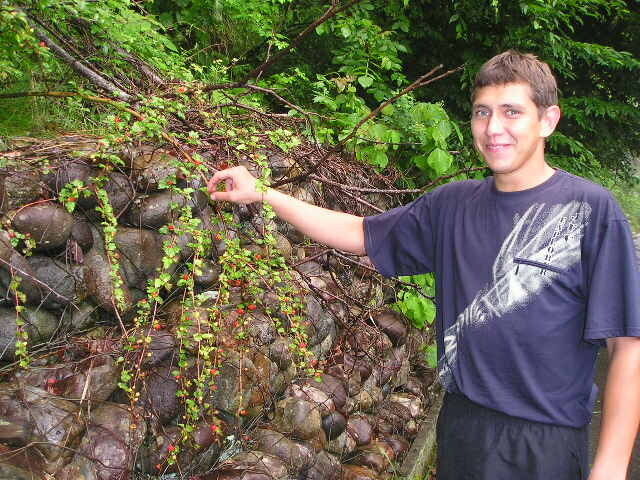 ���� 9806783 ������� ���������, 44 ����, ���� ���������� � ������������