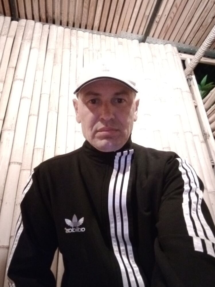  43142573  , 38 ,    