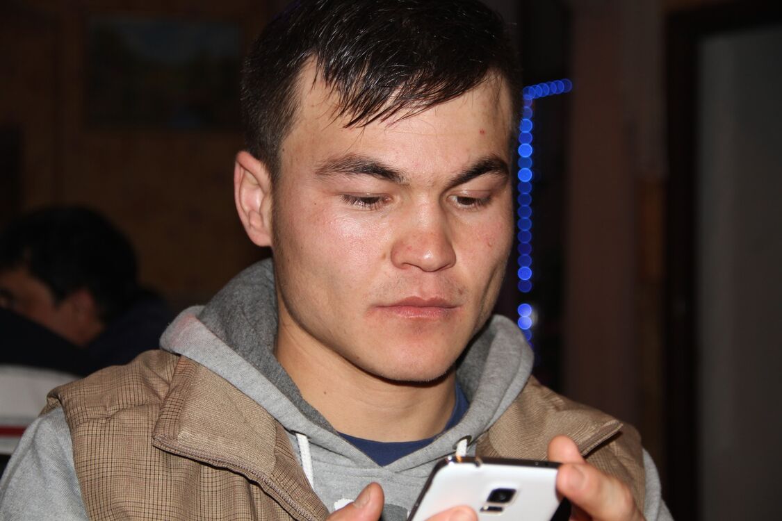 ���� 43206143 ������� QODIR, 31 ���, ���� ���������� � ������