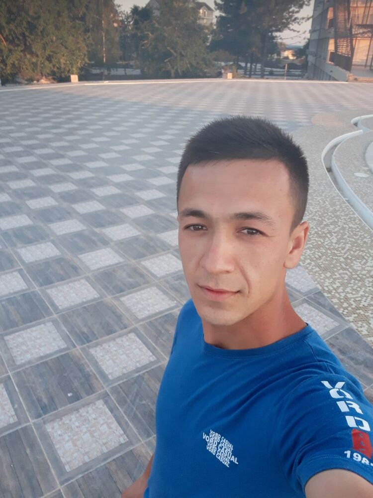  35510483  , 31 ,    