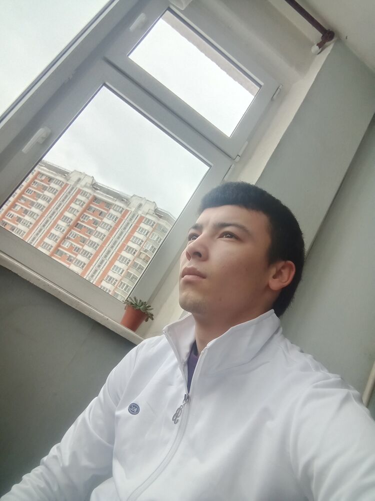  33802313  , 24 ,    