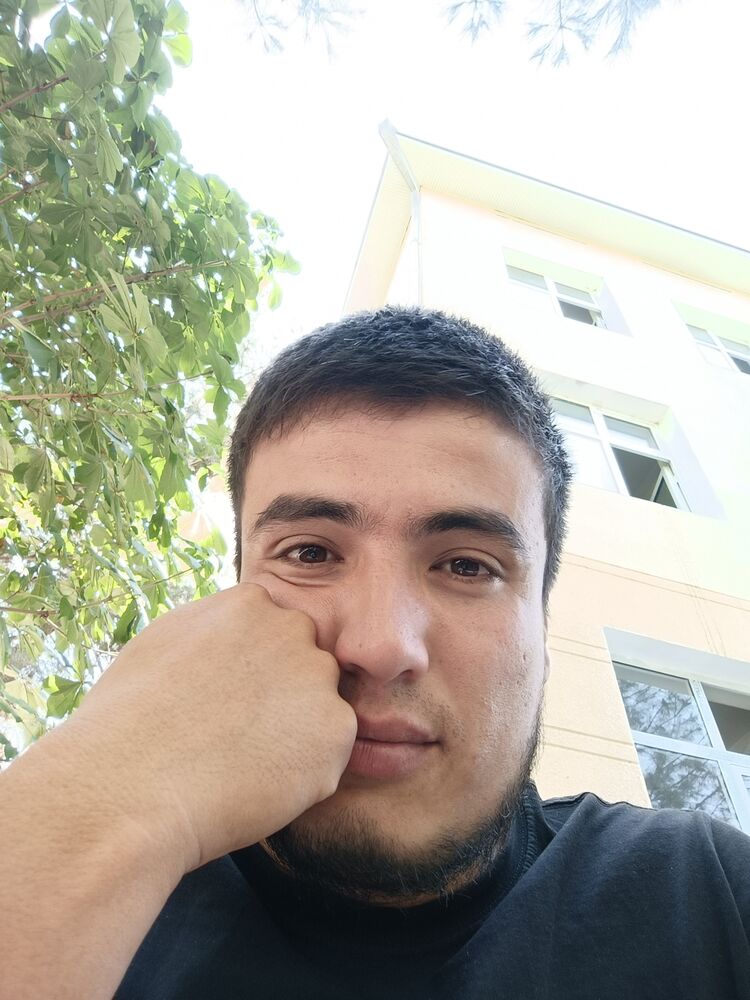  52239693  , 31 ,    