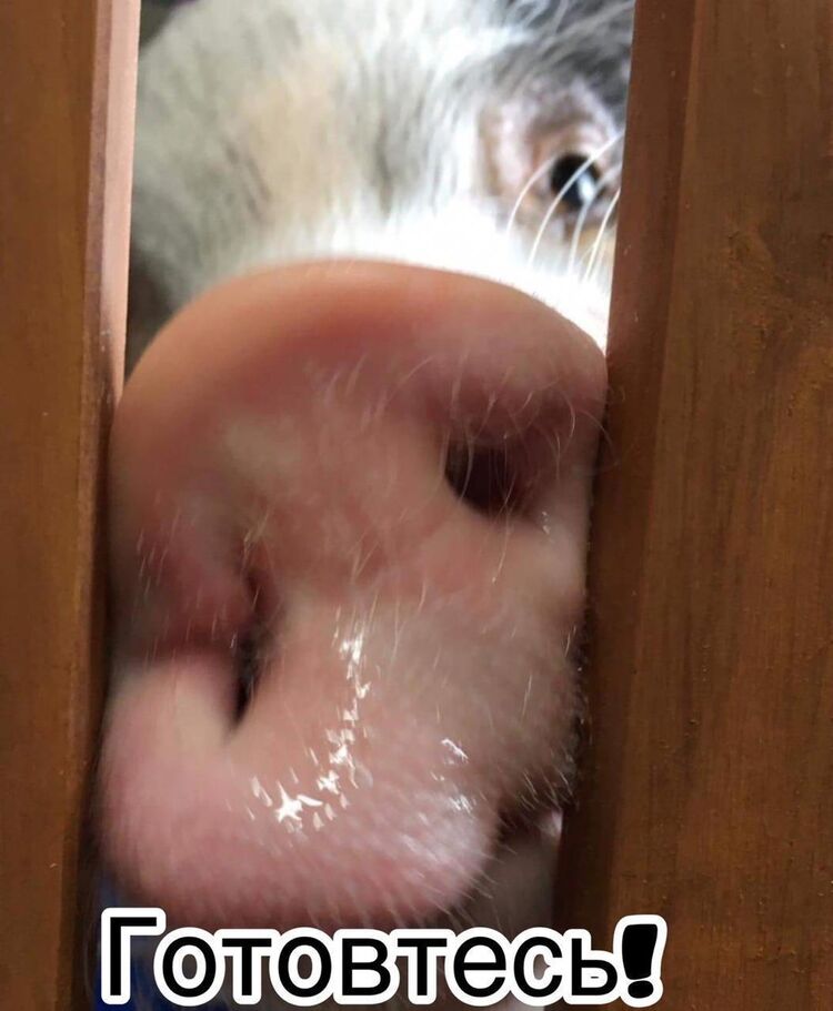  14634113  , 38 ,    
