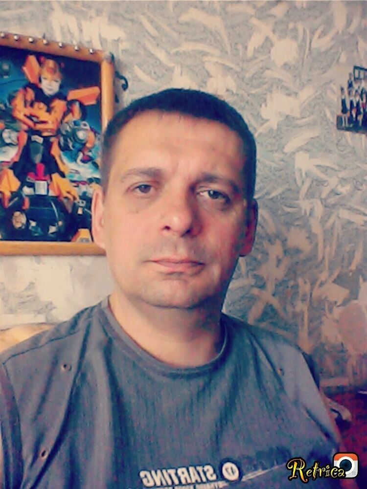  53312933  , 50 ,    
