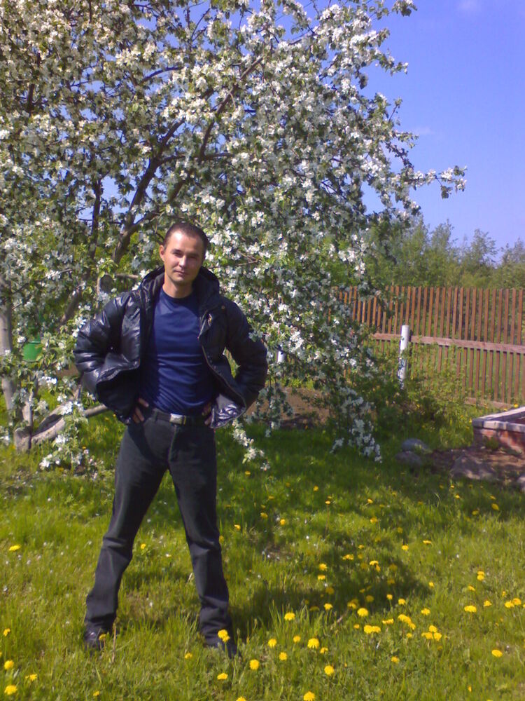  5412213  , 55 ,    -