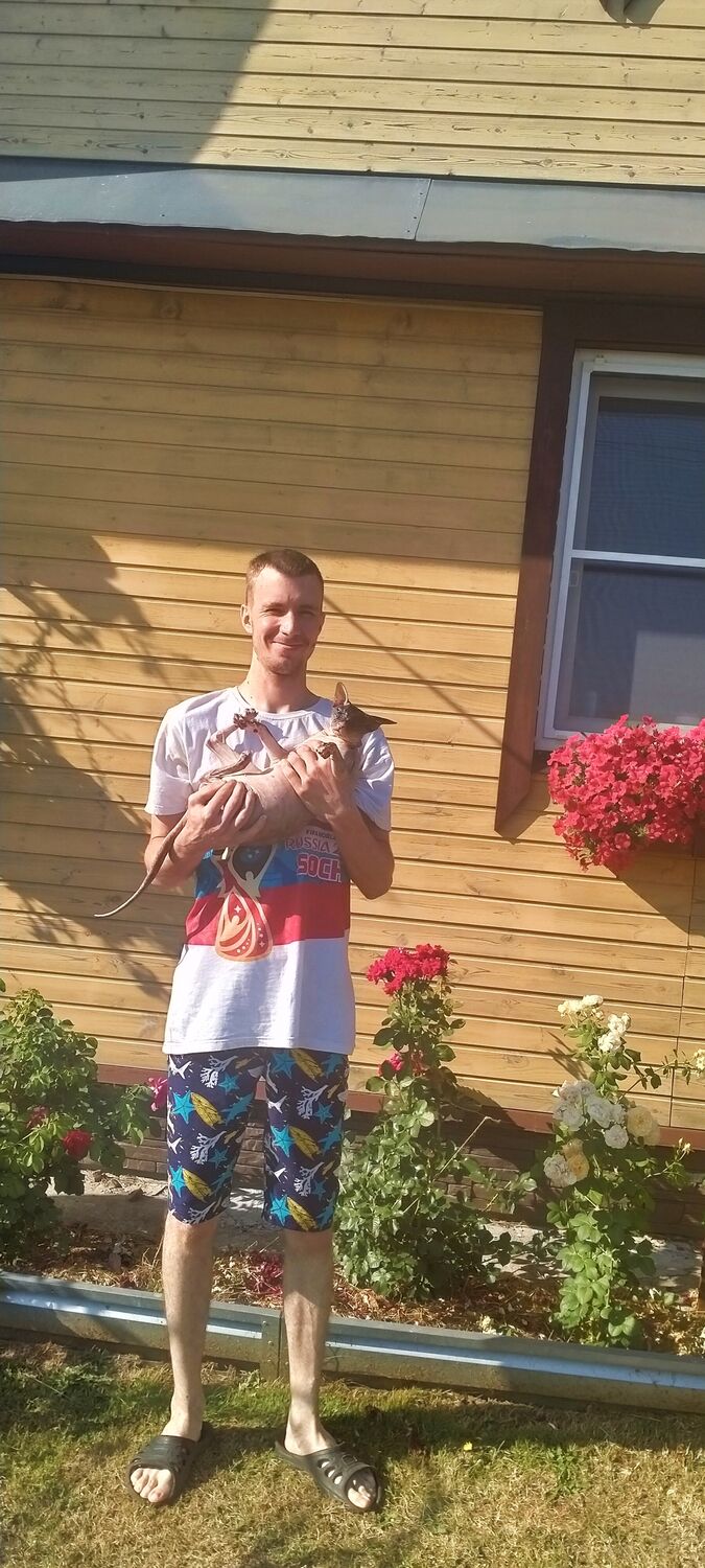  27278373  , 33 ,    -