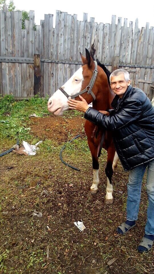 ���������� �������, ���� ������� �����, 45 ���, ������������ ��� ������, ����� � ���������, c�������� ���������