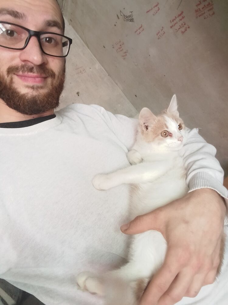 ���������� ��������, ���� ������� ��������, 32 ����, ������������ ��� ������, ����� � ���������