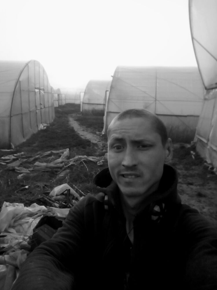 ���� 12334753 ������� Alex, 30 ���, ���� ���������� � ���������