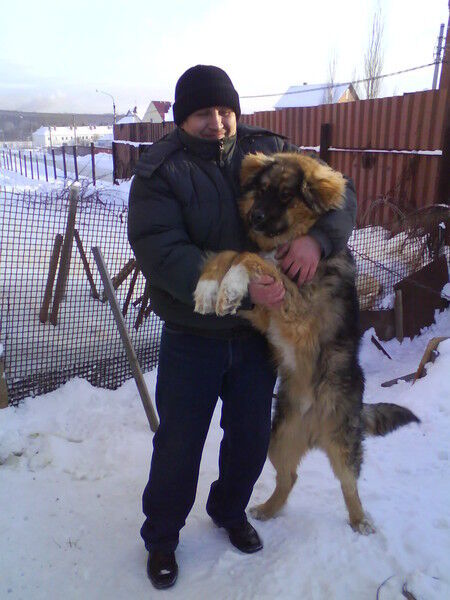 ���� 14944303 ������� �������, 53 ����, ���� ���������� � ����������