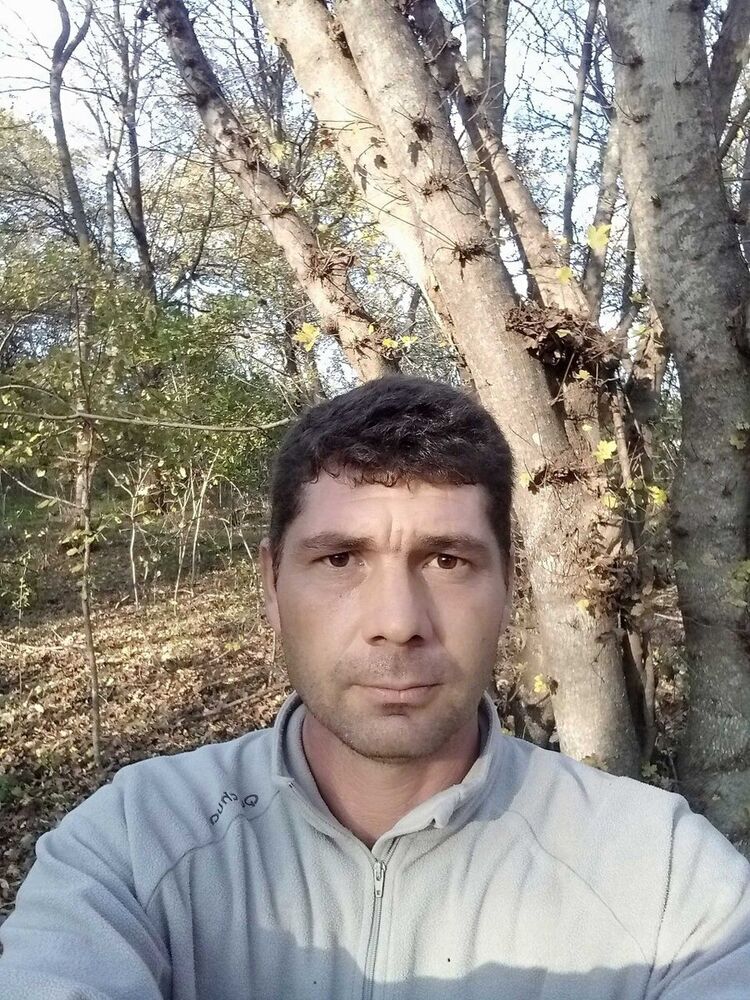 ���� 22240803 ������� �����, 44 ����, ���� ���������� � �������������