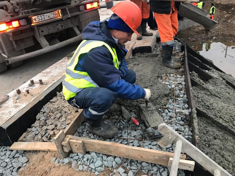  29334063  , 58 ,    