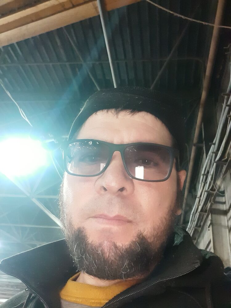  31147993  , 43 ,    
