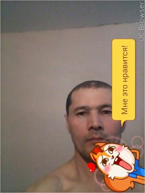 ���� 7351533 ������� Bek, 49 ���, ���� ���������� � �������