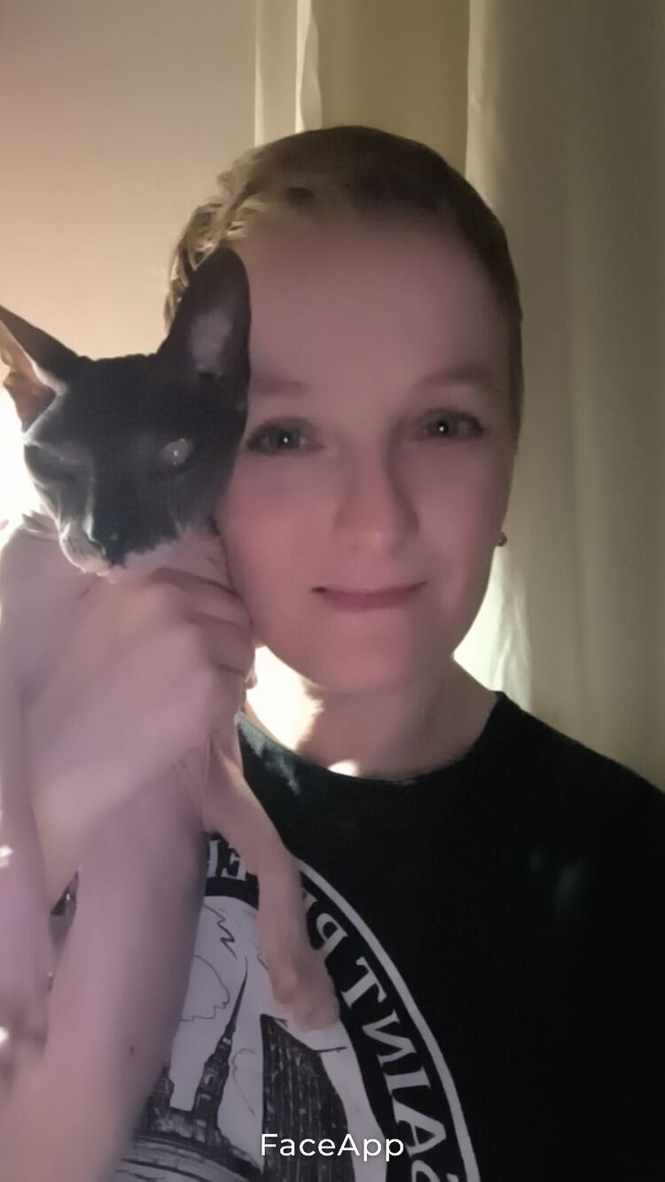  54205463  , 42 ,    -