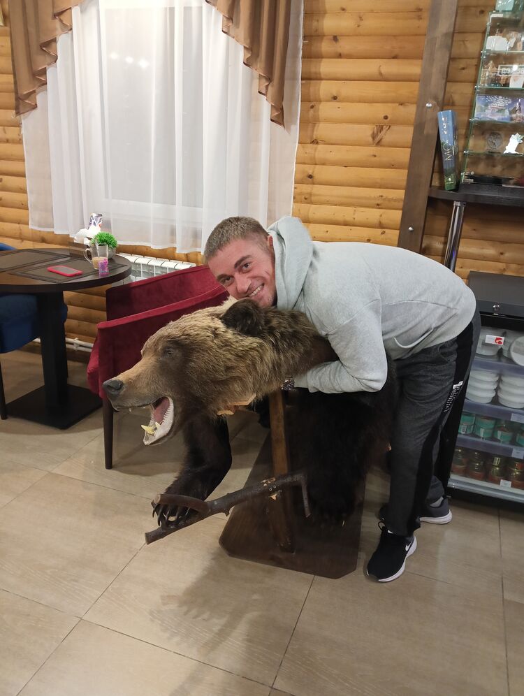 ���� 50867183 ������� ������, 36 ���, ���� ���������� � ���������