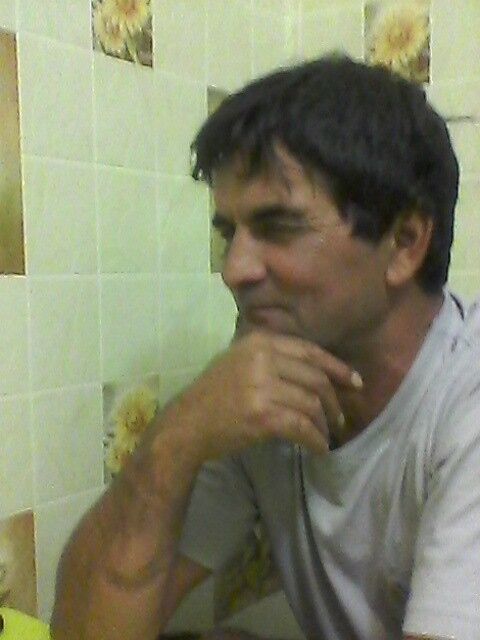  ,   , 66 ,   