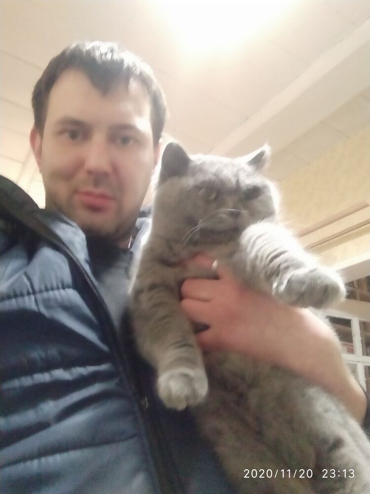 ���� 21721443 ������� ������, 38 ���, ���� ���������� � ������