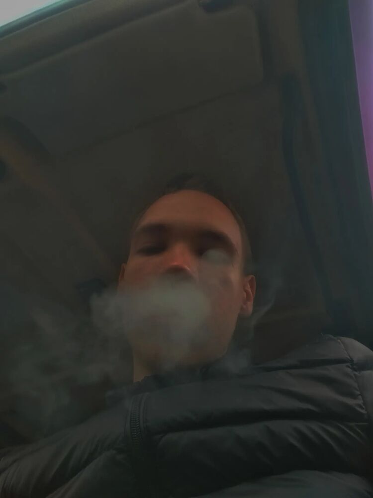  31497113  , 23 ,    