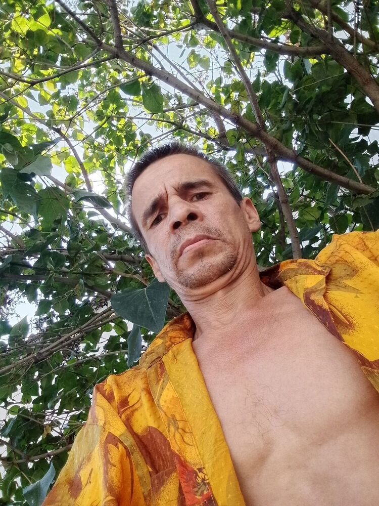 ���� 52619753 ������� �������, 45 ���, ���� ���������� � ������