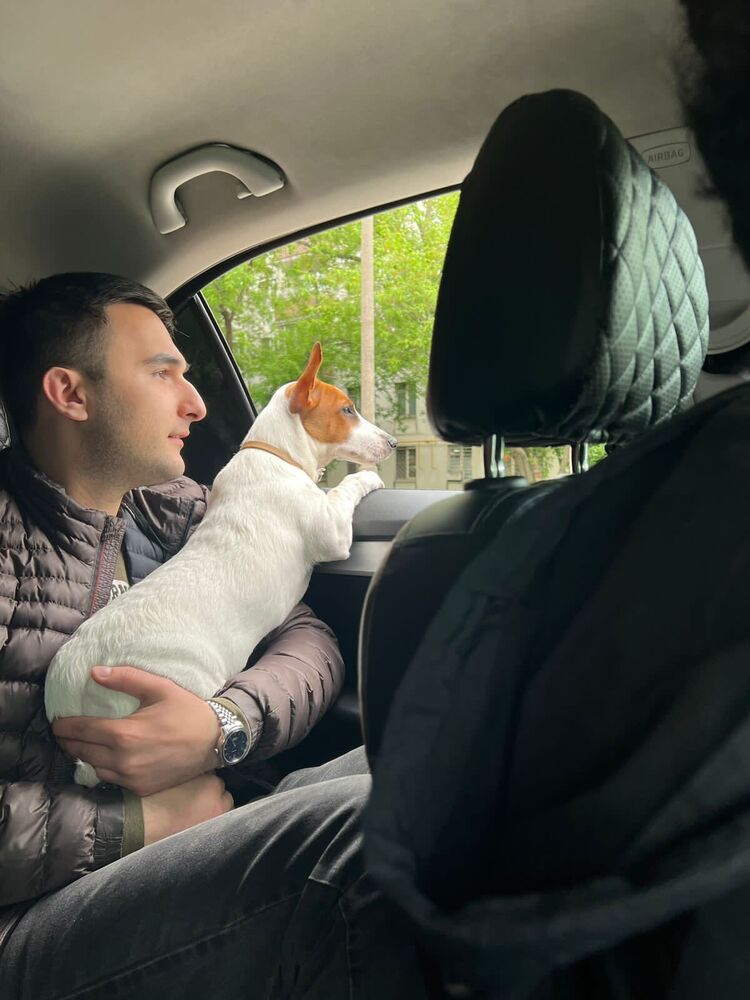 ���� 35411623 ������� ����, 31 ���, ���� ���������� � ������