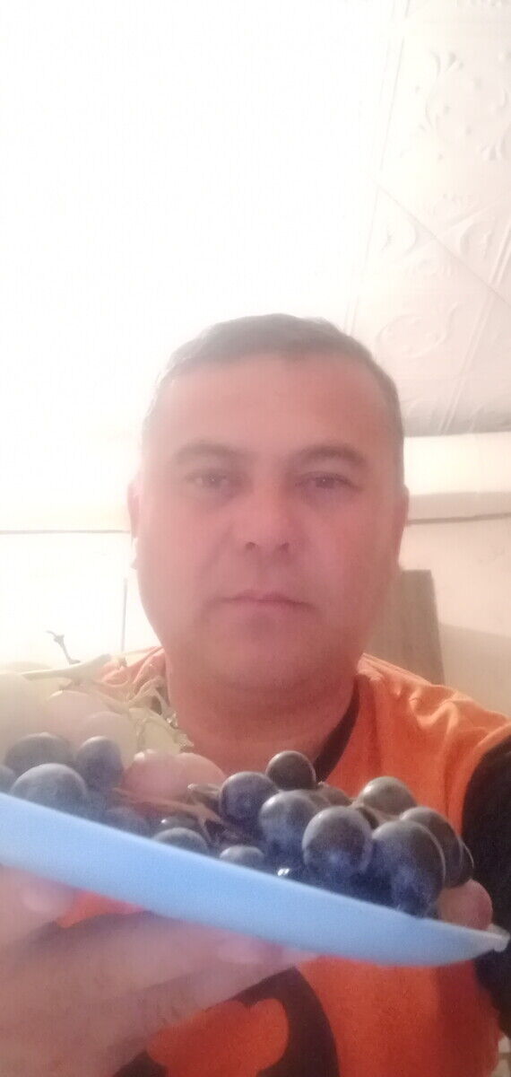  21344563  , 47 ,    