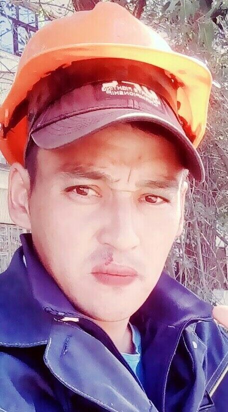  -,   , 38 ,   ,   , c 